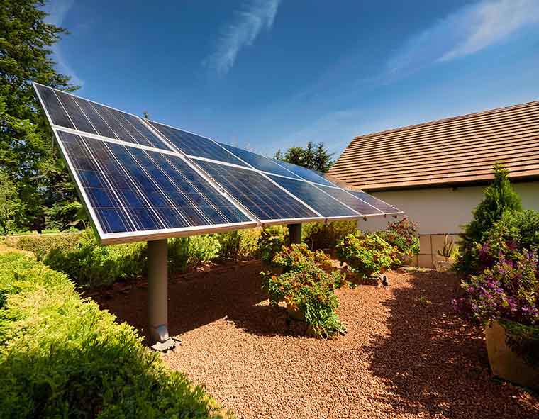 Solar Panels for Home Use - Picture of Solar Panels and Plants beneath